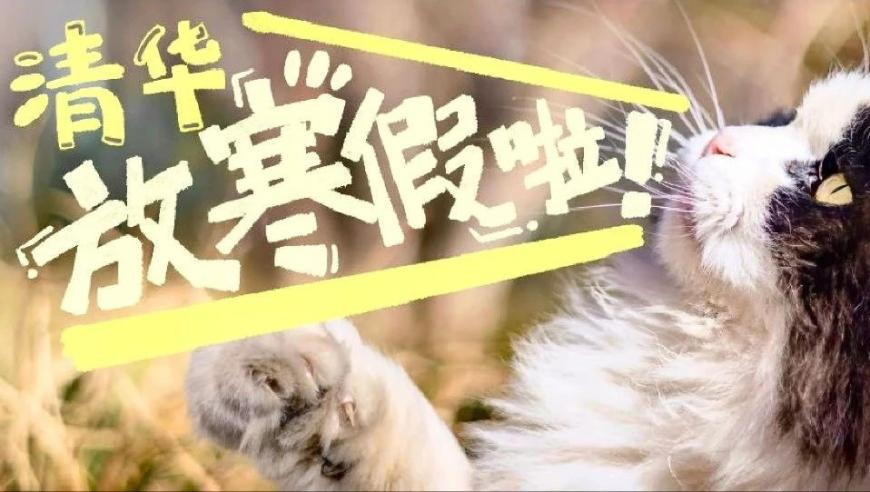 女子在泰国浮潜脑死亡,626969acom澳彩开奖结果查询-相关网站,创造力策略实施推广_尊享版V15.68